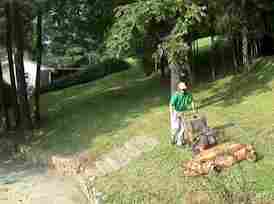 Learn mowing patterns and tips to make your lawn care work faster and easier.